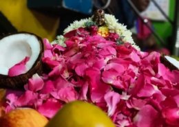 Karaikkal Ammaiyar Old Age Home (8)